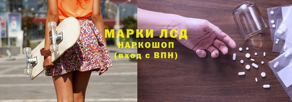 сатива Магадан