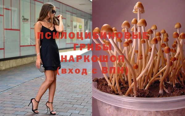 гашиш Магас