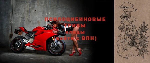 сатива Магадан